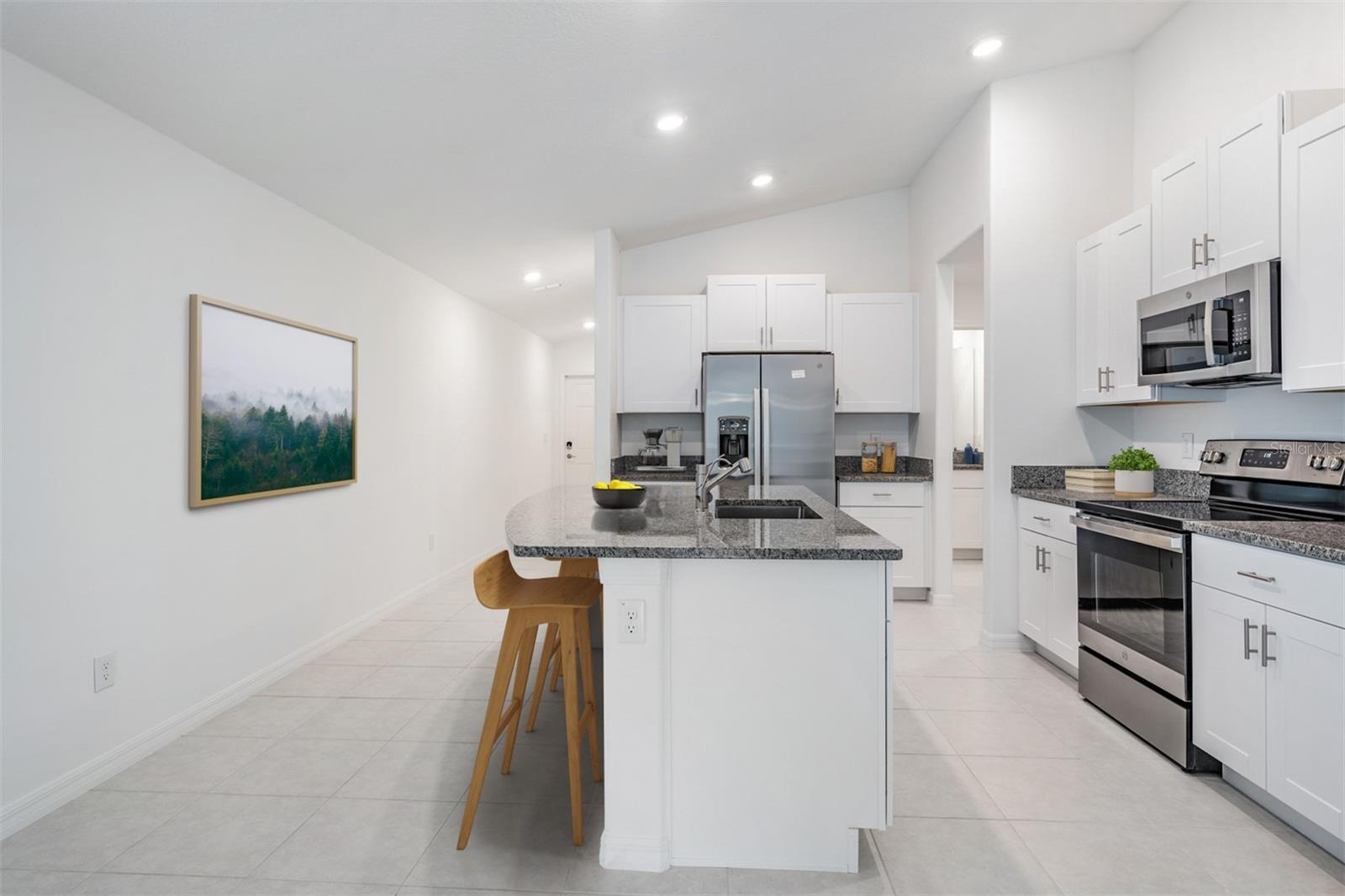 10048 BRANCHING SHIP TRCE, WESLEY CHAPEL, FL, 33545