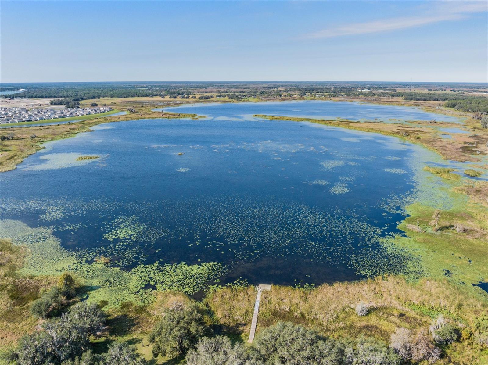 10048 BRANCHING SHIP TRCE, WESLEY CHAPEL, FL, 33545