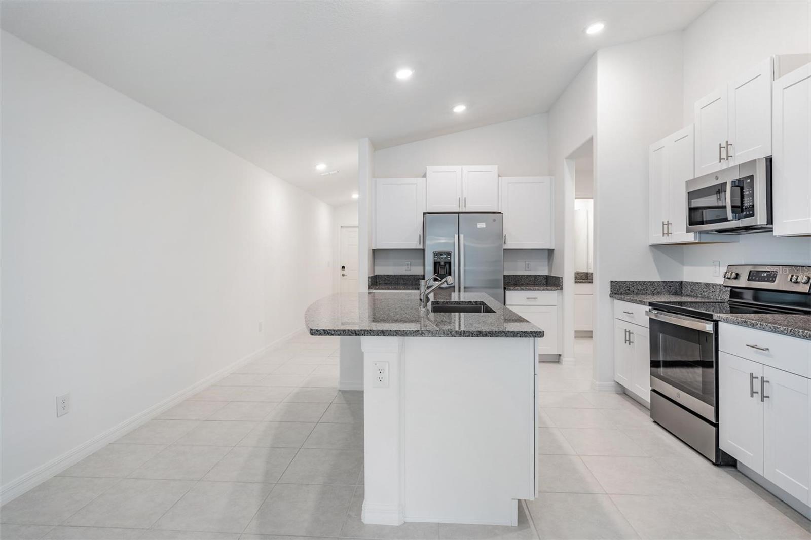 10048 BRANCHING SHIP TRCE, WESLEY CHAPEL, FL, 33545