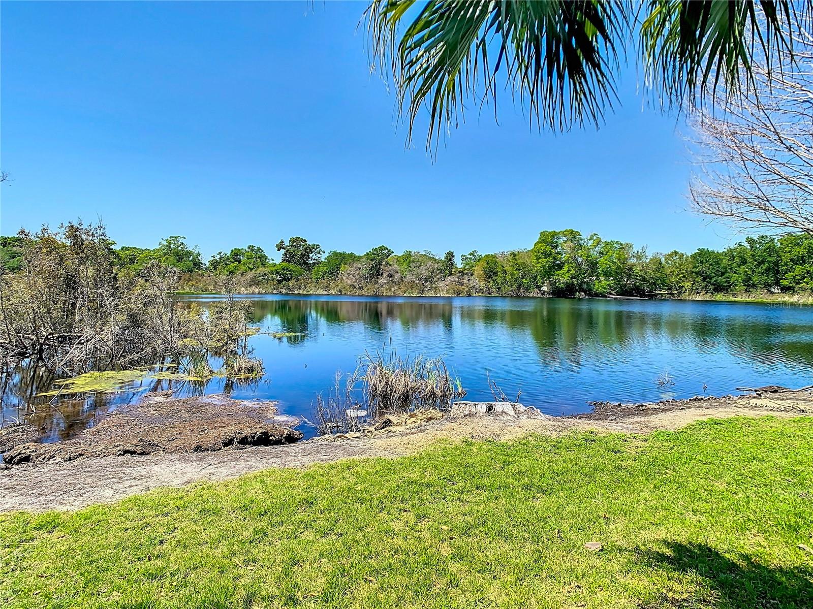 2259 FLETCHERS POINT CIR, TAMPA, FL, 33613