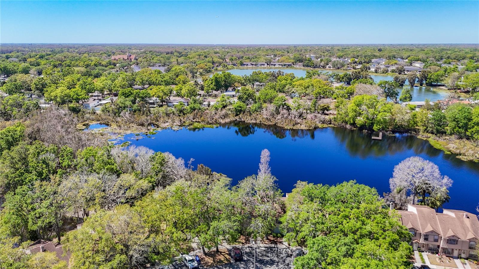 2259 FLETCHERS POINT CIR, TAMPA, FL, 33613