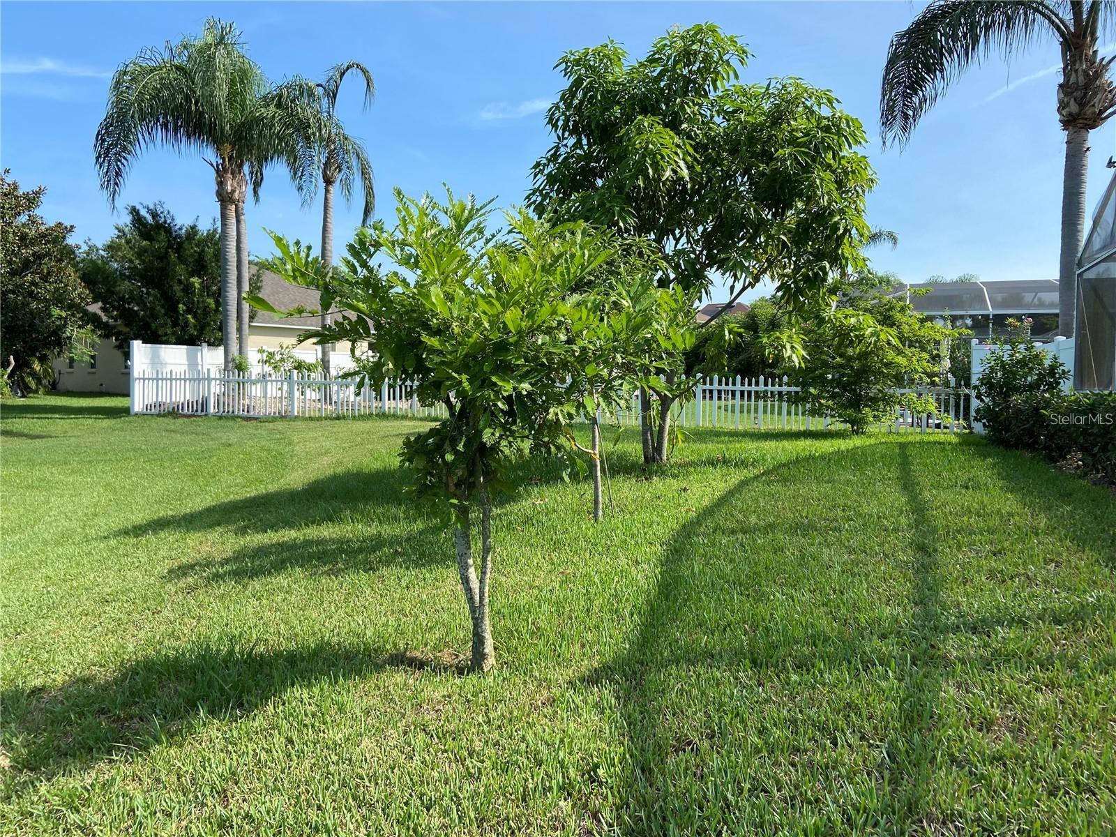 13832 HAWK LAKE DR, ORLANDO, FL, 32837