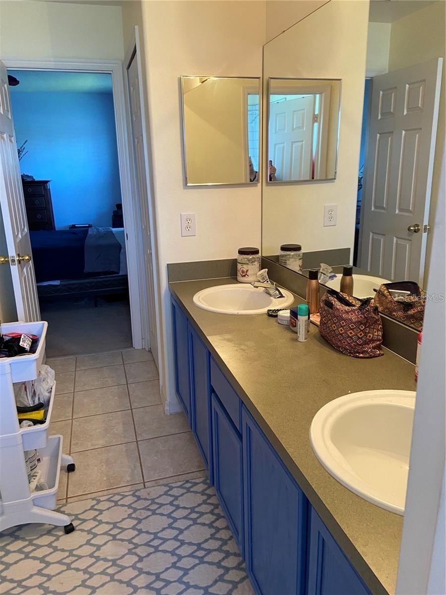 13832 HAWK LAKE DR, ORLANDO, FL, 32837