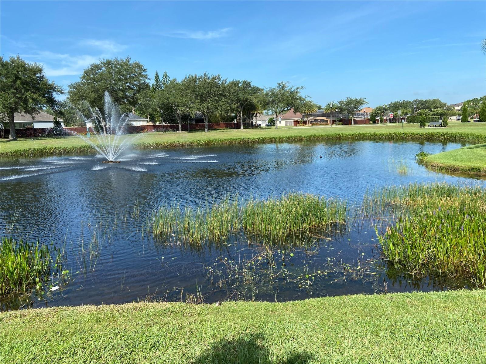 13832 HAWK LAKE DR, ORLANDO, FL, 32837