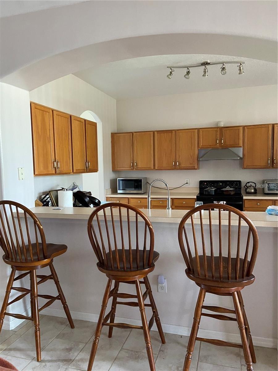 13832 HAWK LAKE DR, ORLANDO, FL, 32837