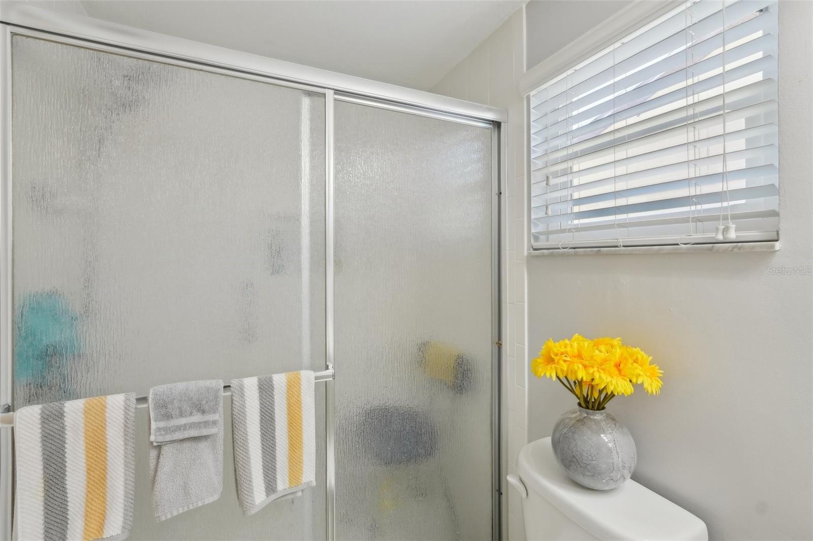 2033 WHITNEY DR, CLEARWATER, FL, 33760