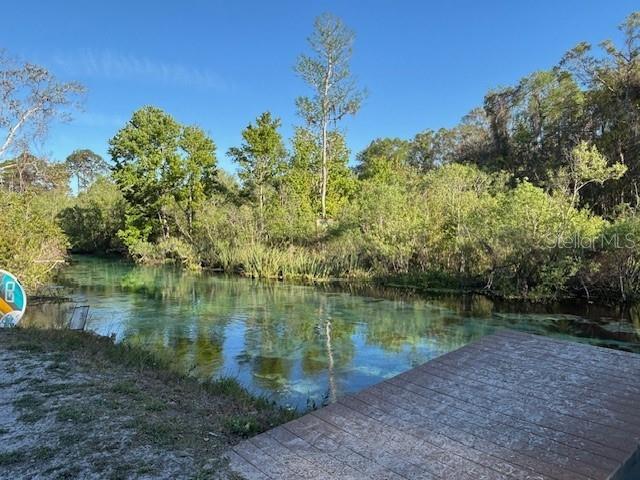 7169 SPRUCE DR, WEEKI WACHEE, FL, 34607