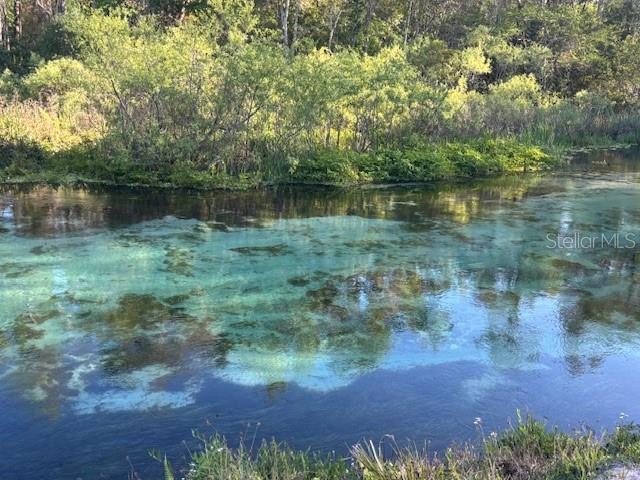7169 SPRUCE DR, WEEKI WACHEE, FL, 34607