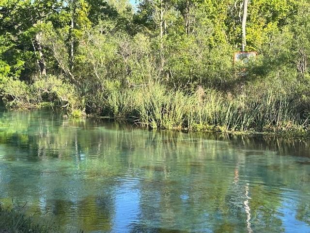 7169 SPRUCE DR, WEEKI WACHEE, FL, 34607