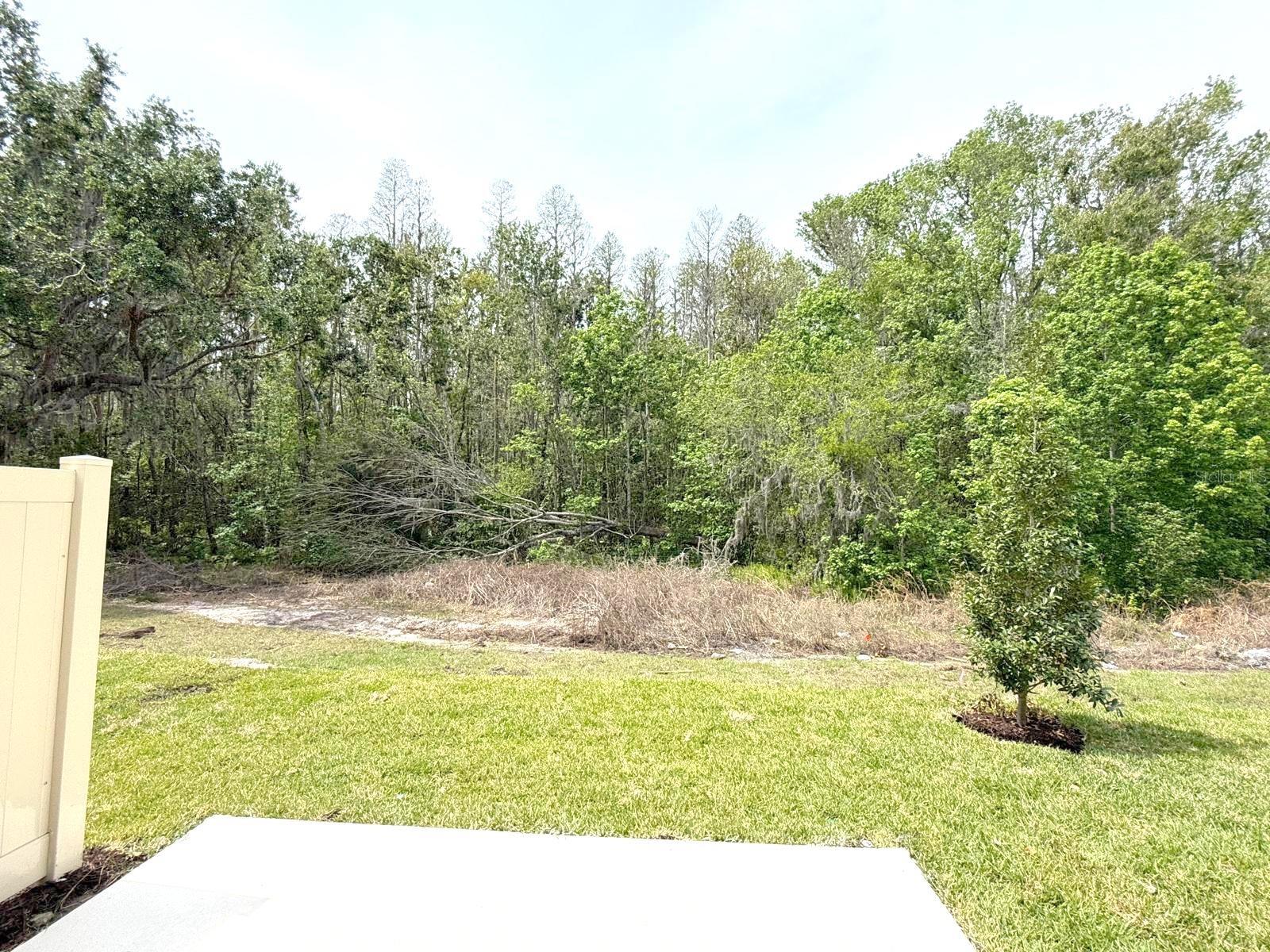 2107 HALLIER CV, WESLEY CHAPEL, FL, 33543