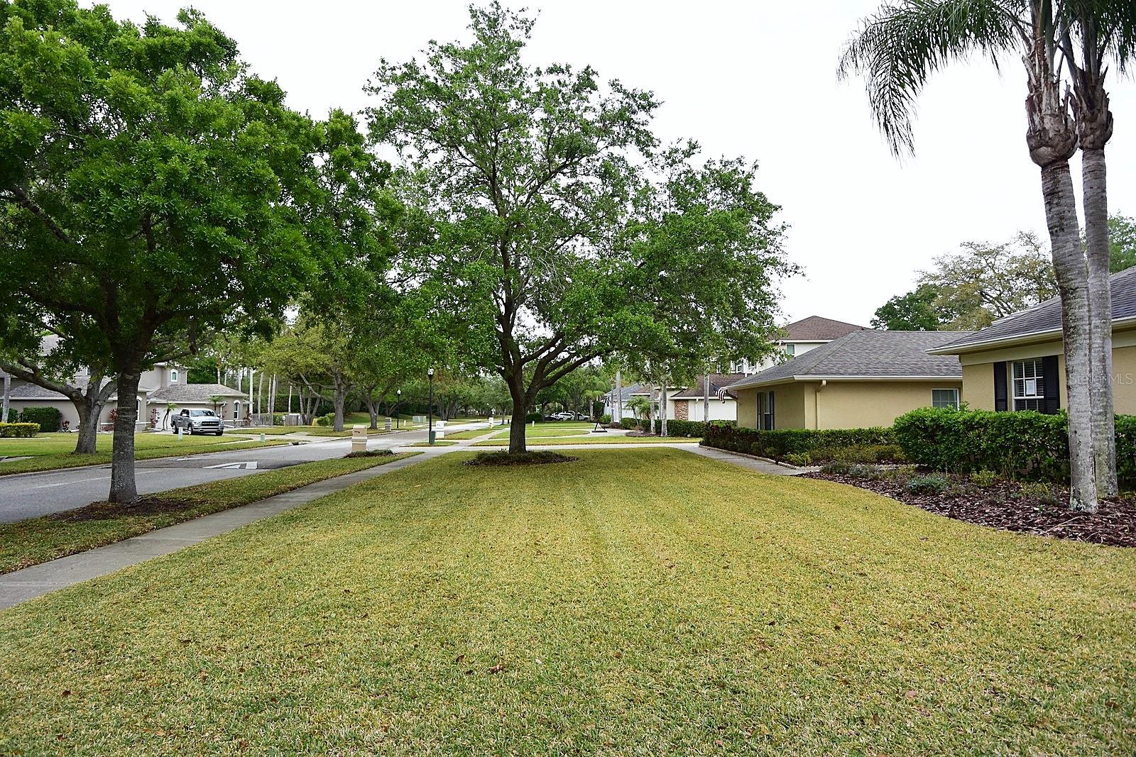 19109 BECKETT DR, ODESSA, FL, 33556
