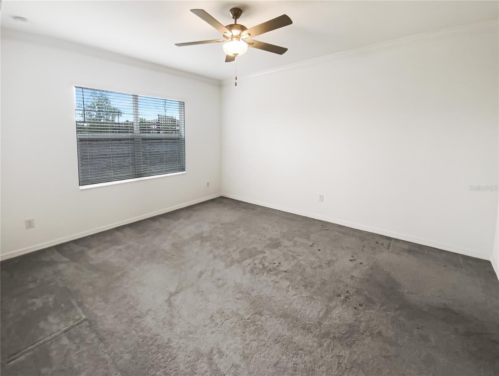 6856 RIPPLE POND LOOP, ZEPHYRHILLS, FL, 33541
