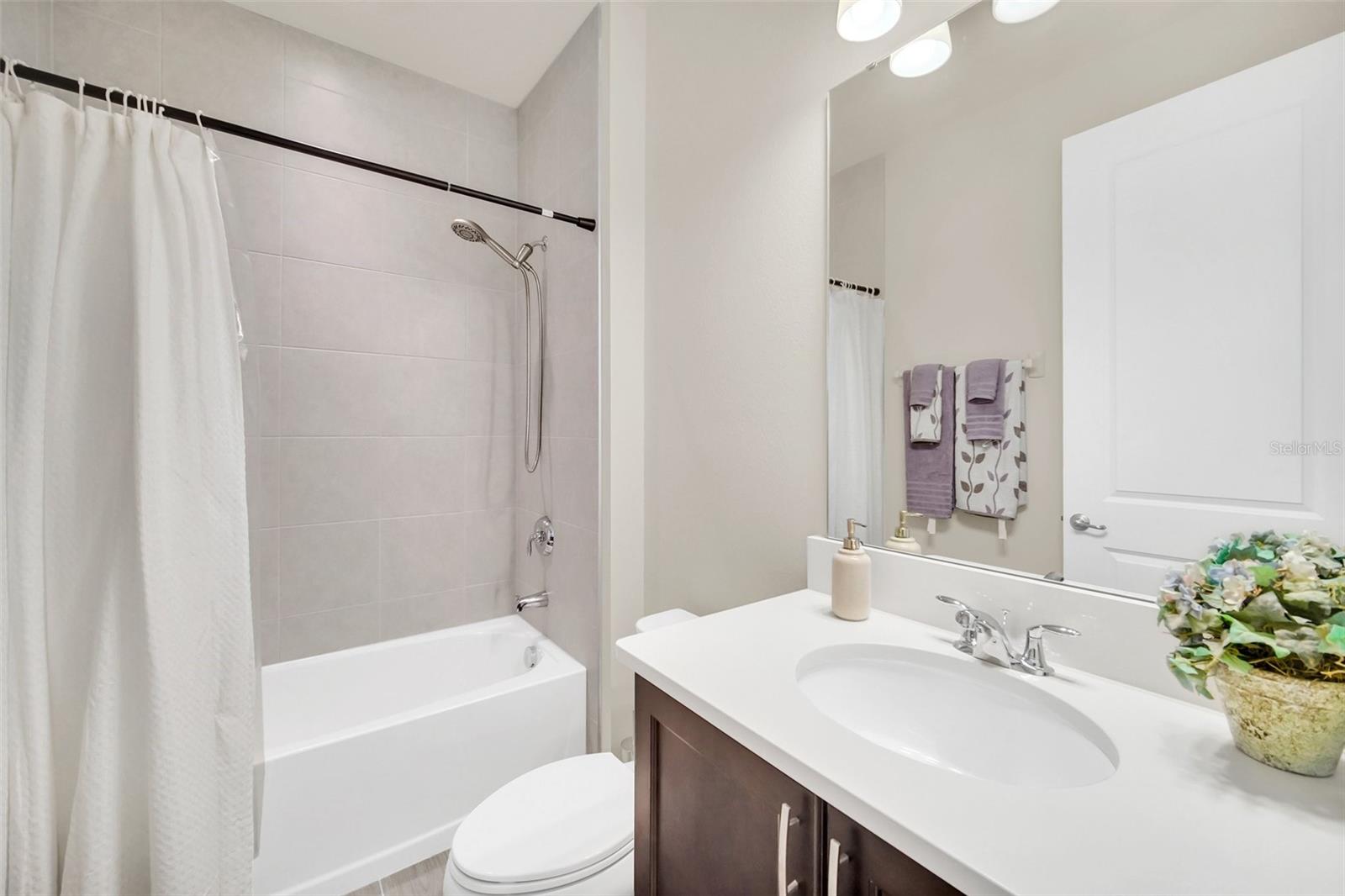 2479 CEDAR ROSE ST, APOPKA, FL, 32712