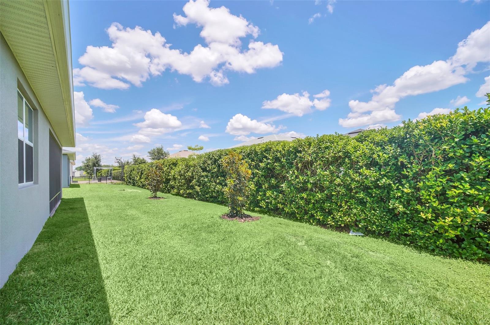 2479 CEDAR ROSE ST, APOPKA, FL, 32712