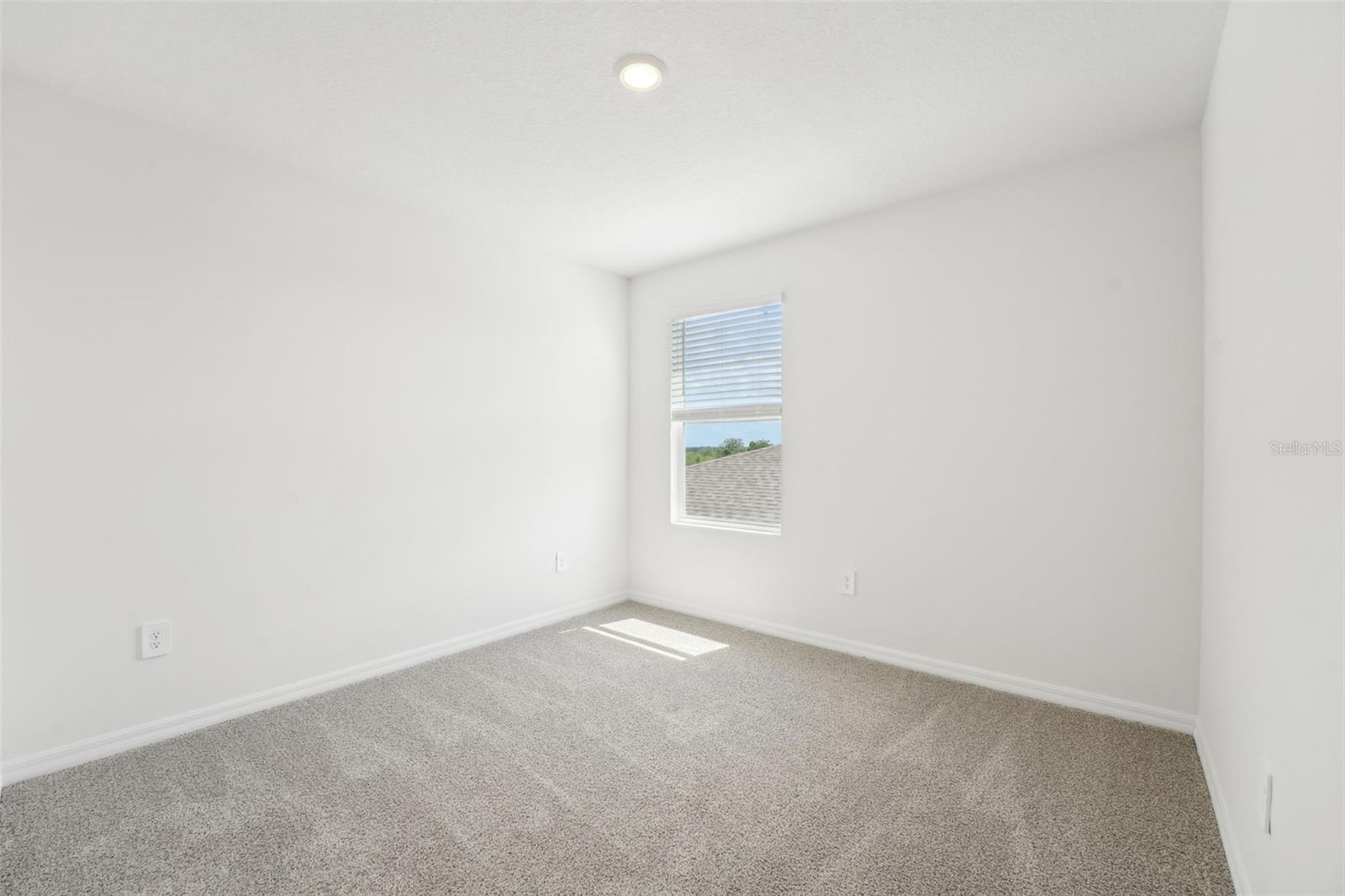 31653 WILD GRAPE LN, BROOKSVILLE, FL, 34602