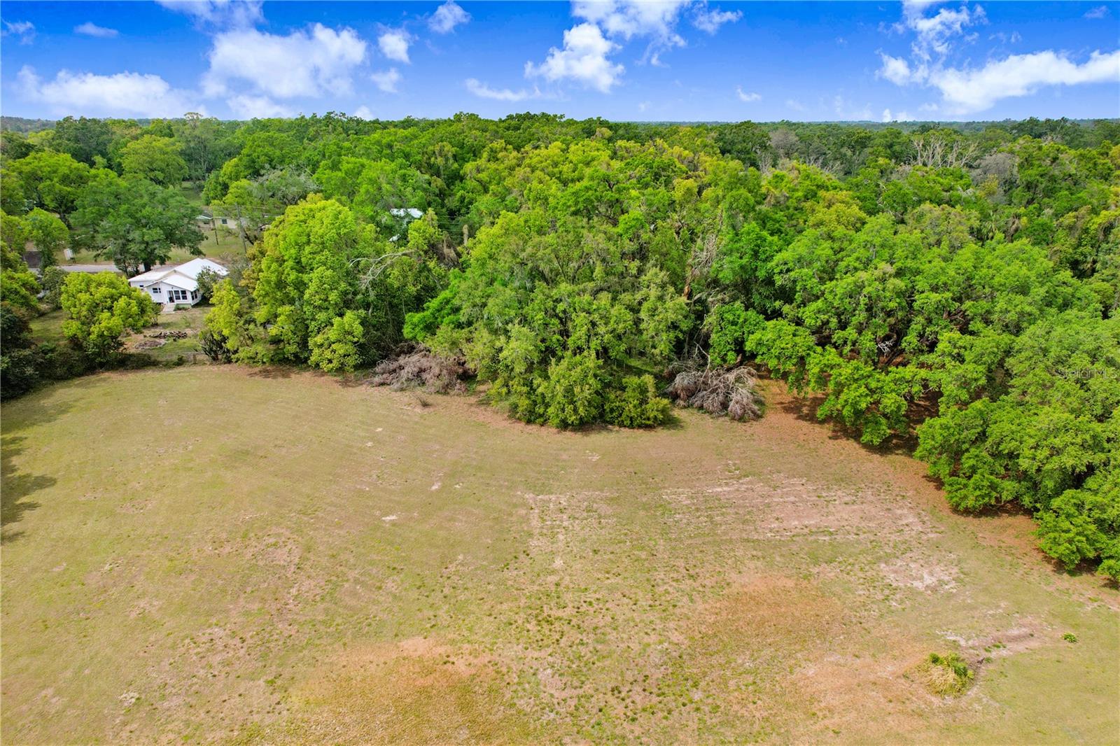 0 TRILBY RD, DADE CITY, FL, 33523