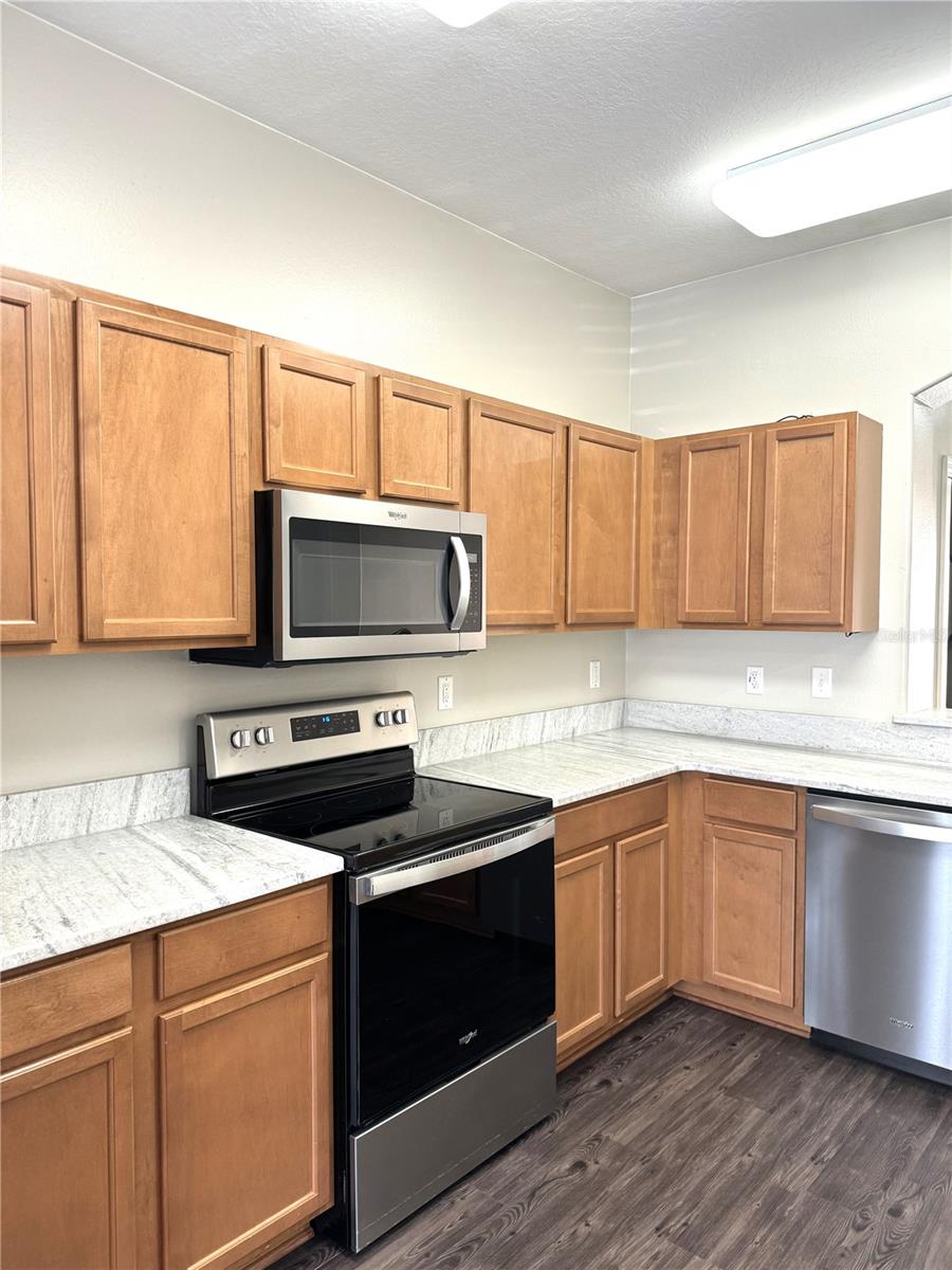 4188 WINDING VINE DR, LAKELAND, FL, 33812