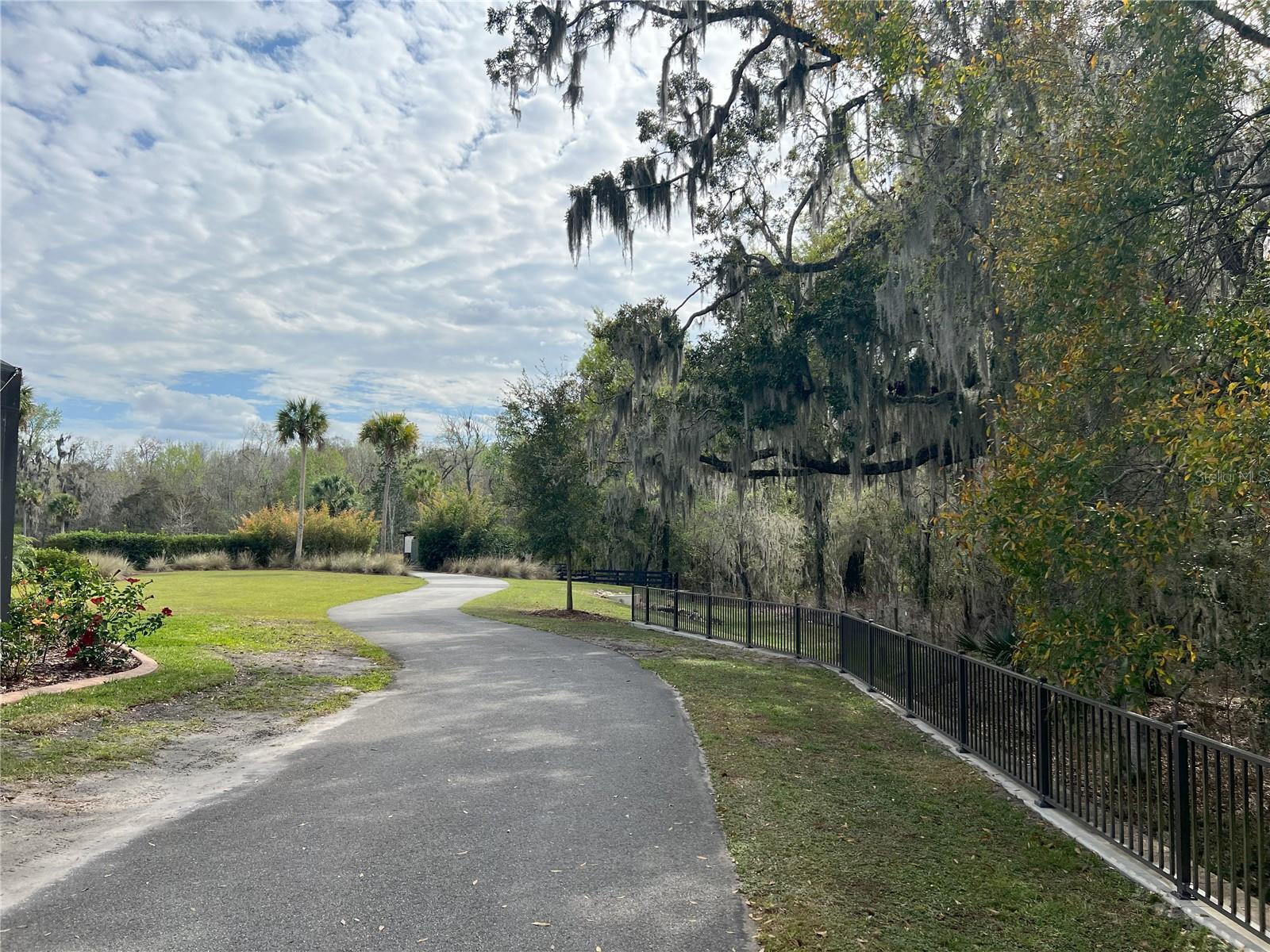 1059 AKIN WAY, THE VILLAGES, FL, 32163