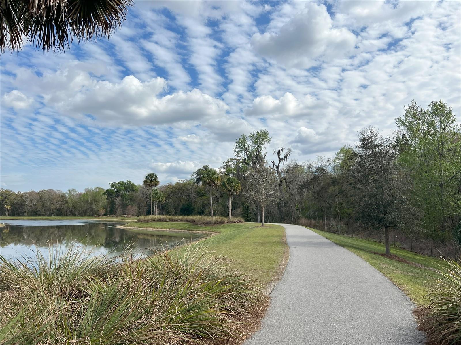1059 AKIN WAY, THE VILLAGES, FL, 32163