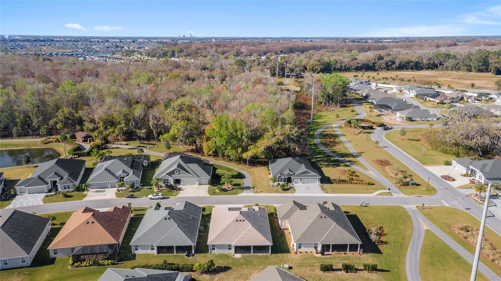 1059 AKIN WAY, THE VILLAGES, FL, 32163