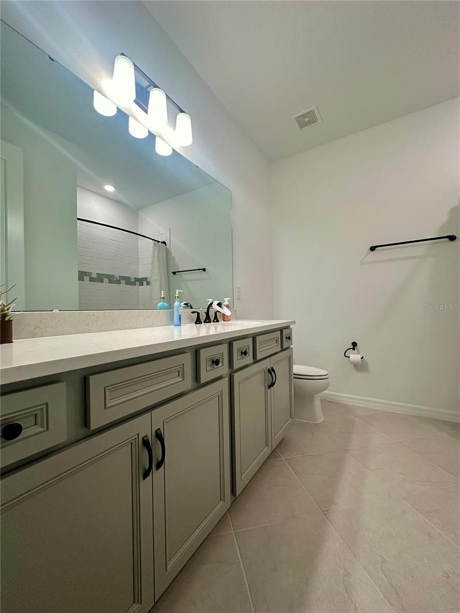 9454 IBIS GROVE BLVD, WESLEY CHAPEL, FL, 33545