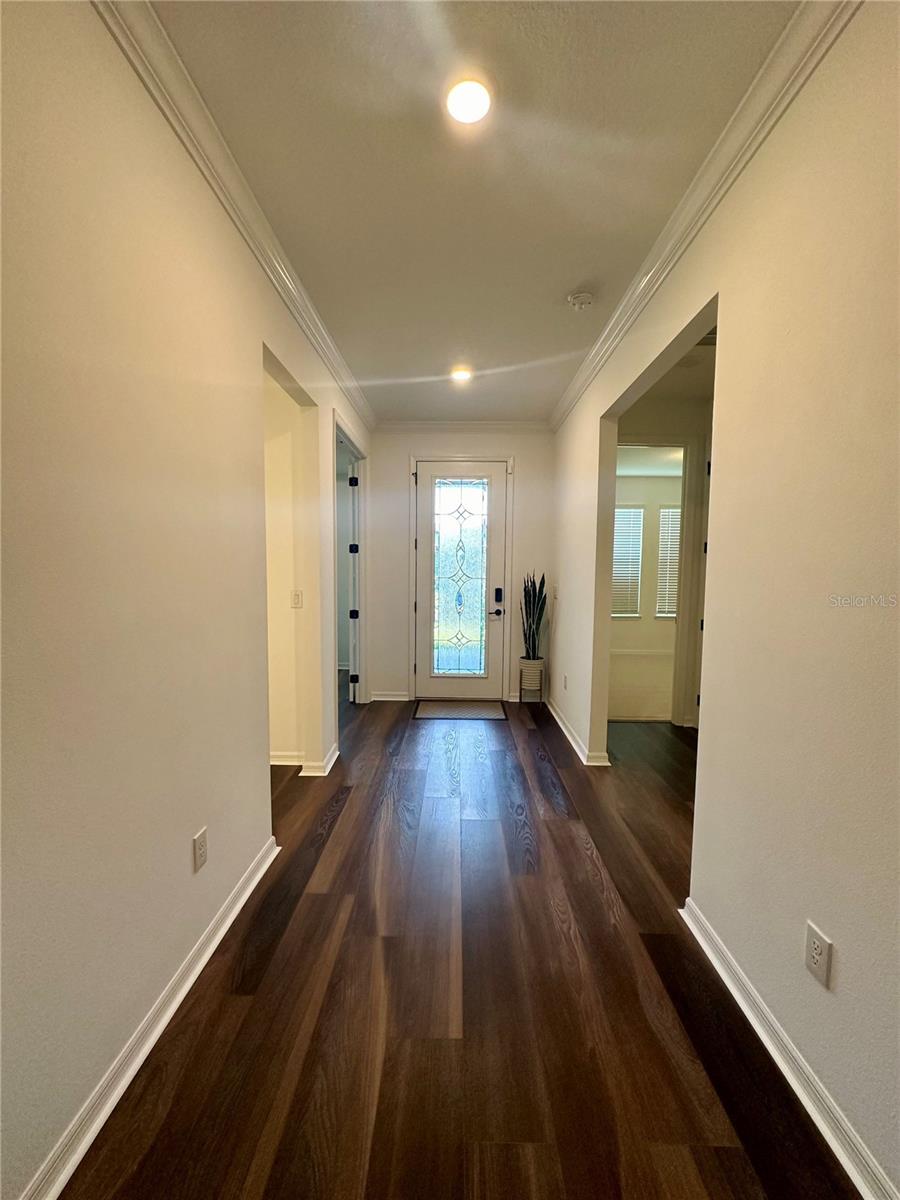 9454 IBIS GROVE BLVD, WESLEY CHAPEL, FL, 33545