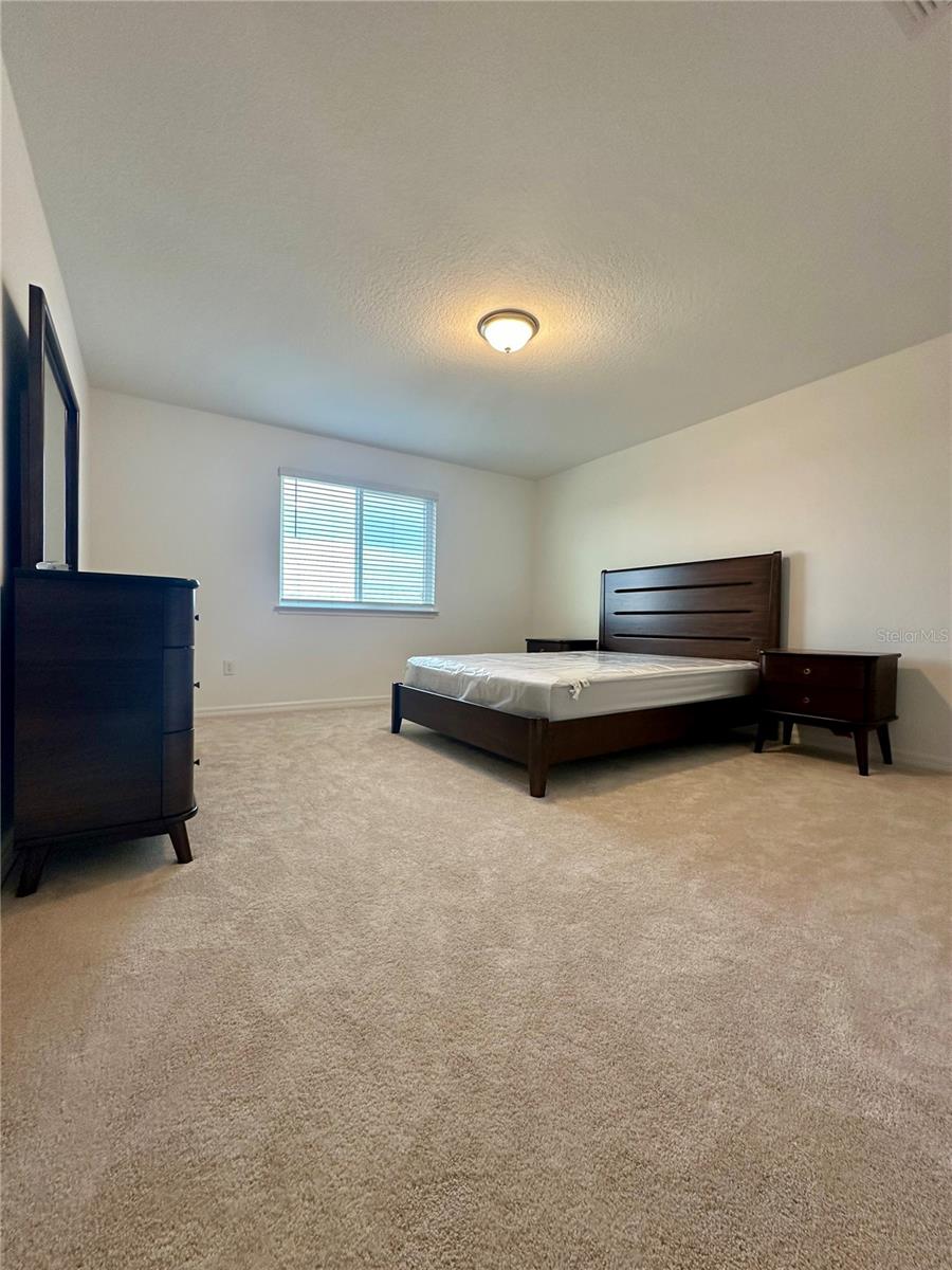 9454 IBIS GROVE BLVD, WESLEY CHAPEL, FL, 33545