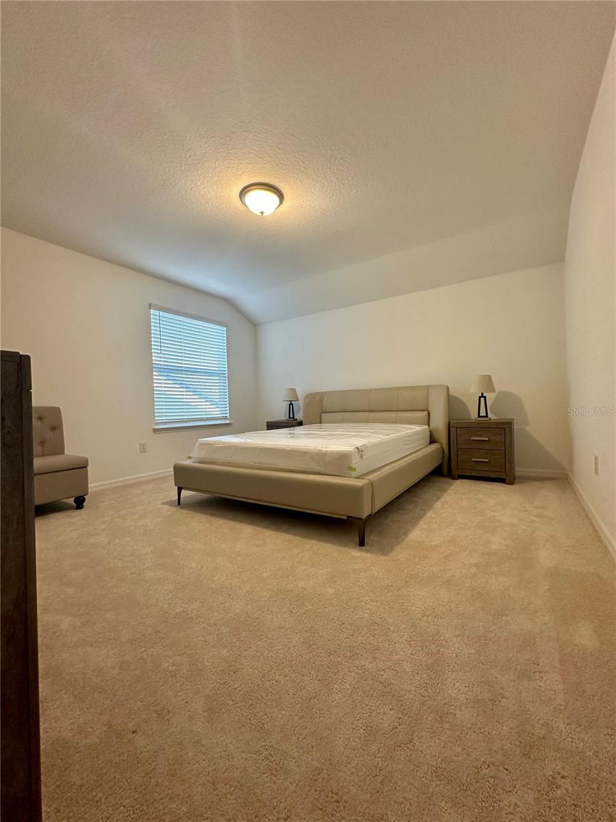 9454 IBIS GROVE BLVD, WESLEY CHAPEL, FL, 33545