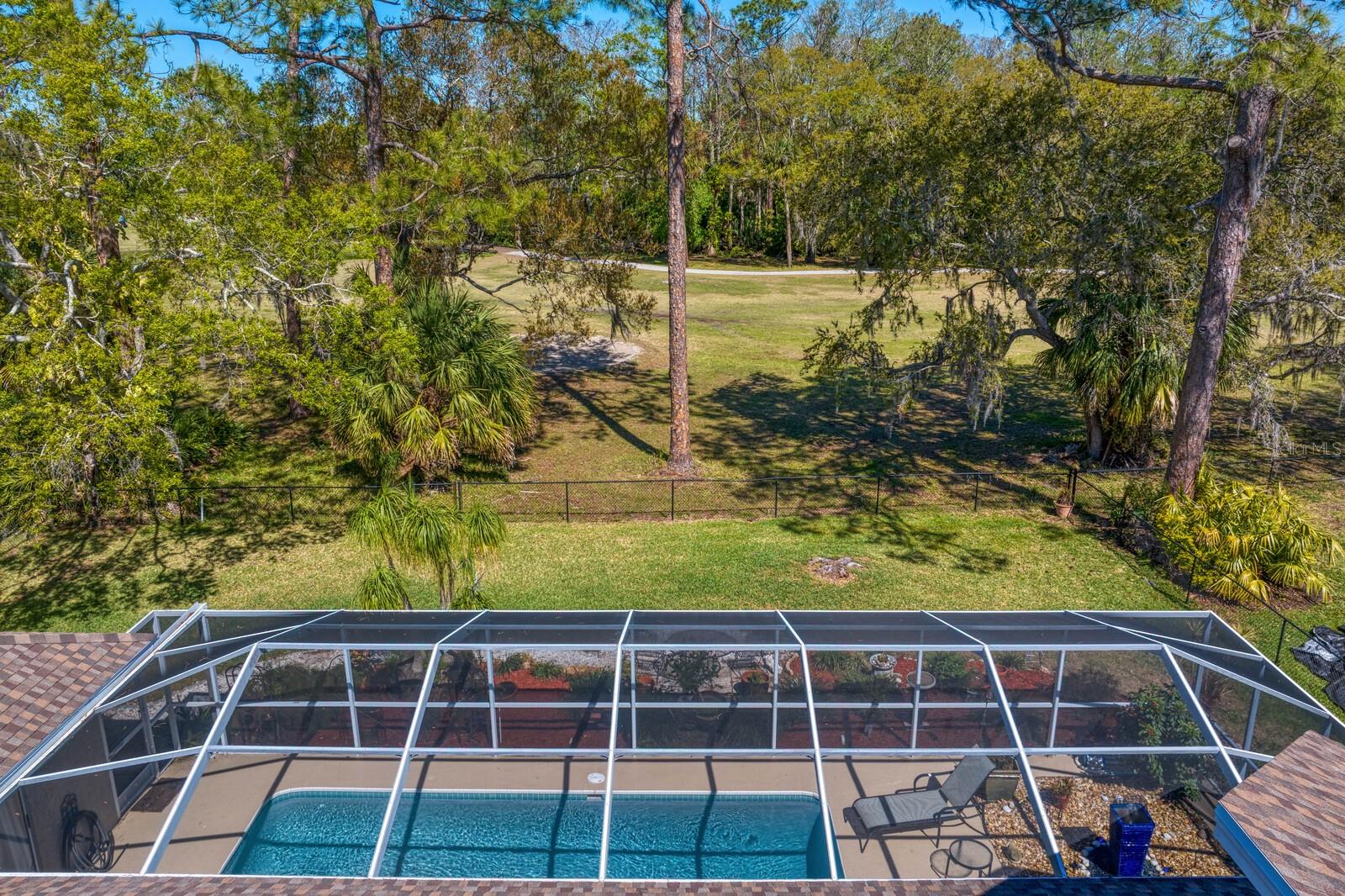 3109 TARPON WOODS BLVD, PALM HARBOR, FL, 34685