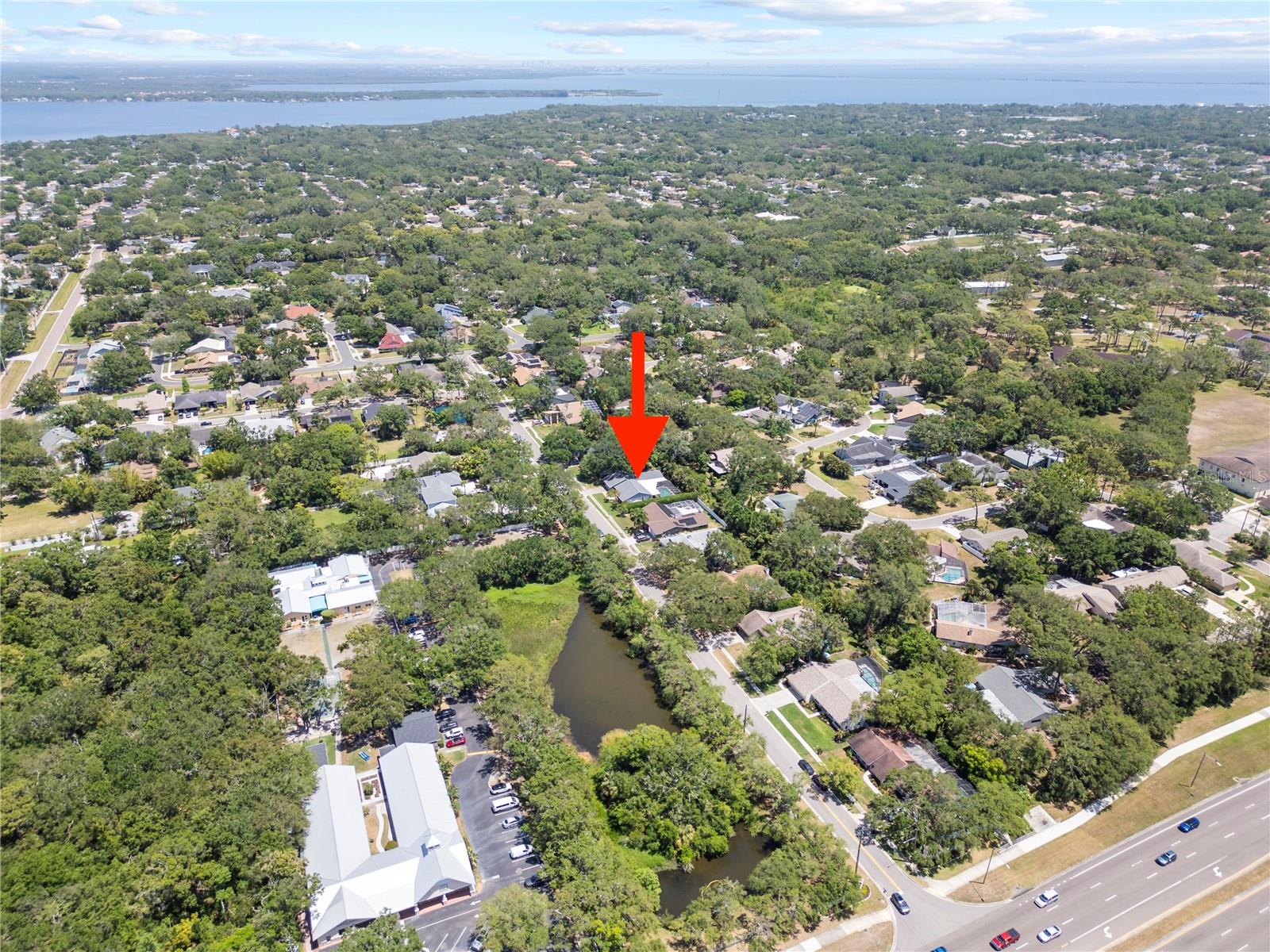 1810 PINE HILL DR, SAFETY HARBOR, FL, 34695