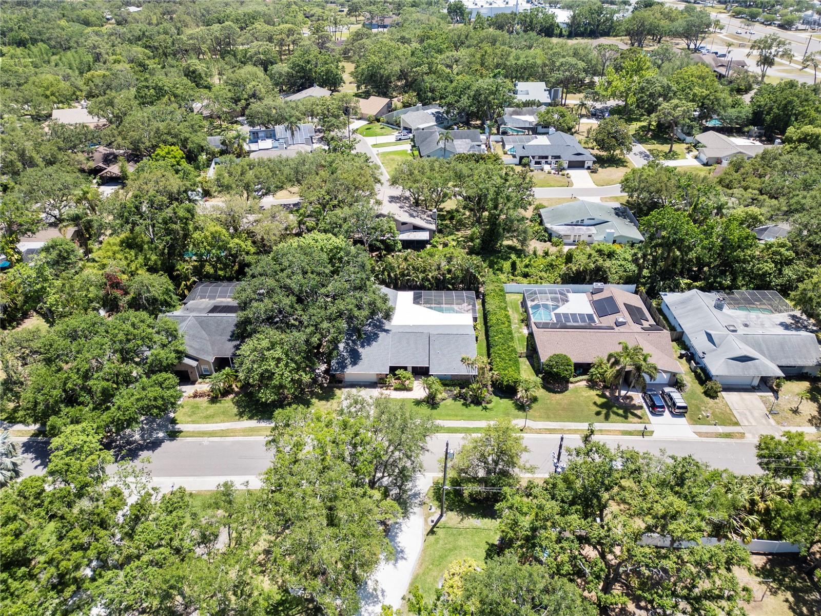 1810 PINE HILL DR, SAFETY HARBOR, FL, 34695