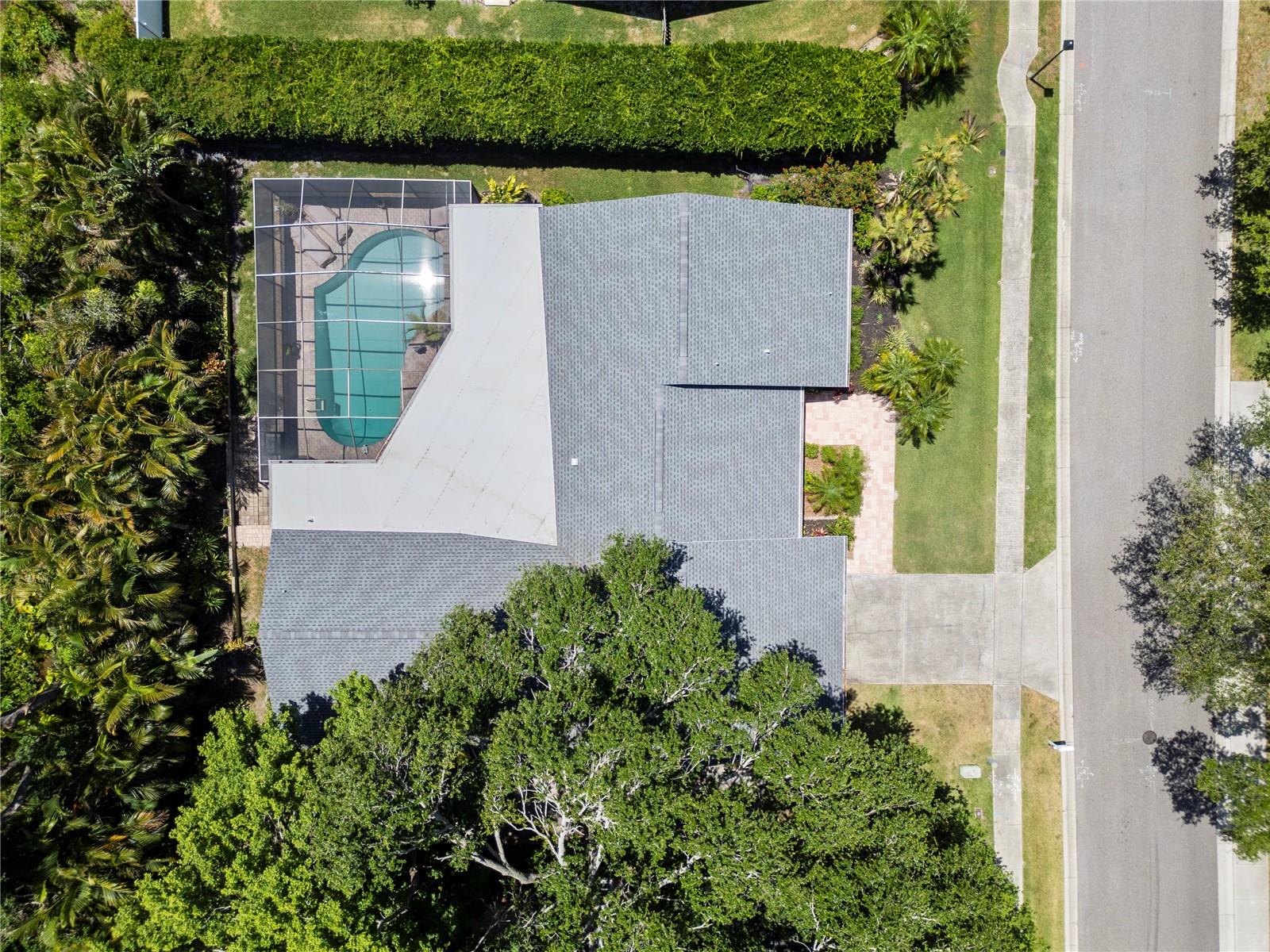 1810 PINE HILL DR, SAFETY HARBOR, FL, 34695