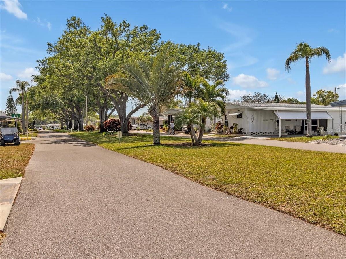 2331 BELLEAIR RD #214, CLEARWATER, FL, 33764