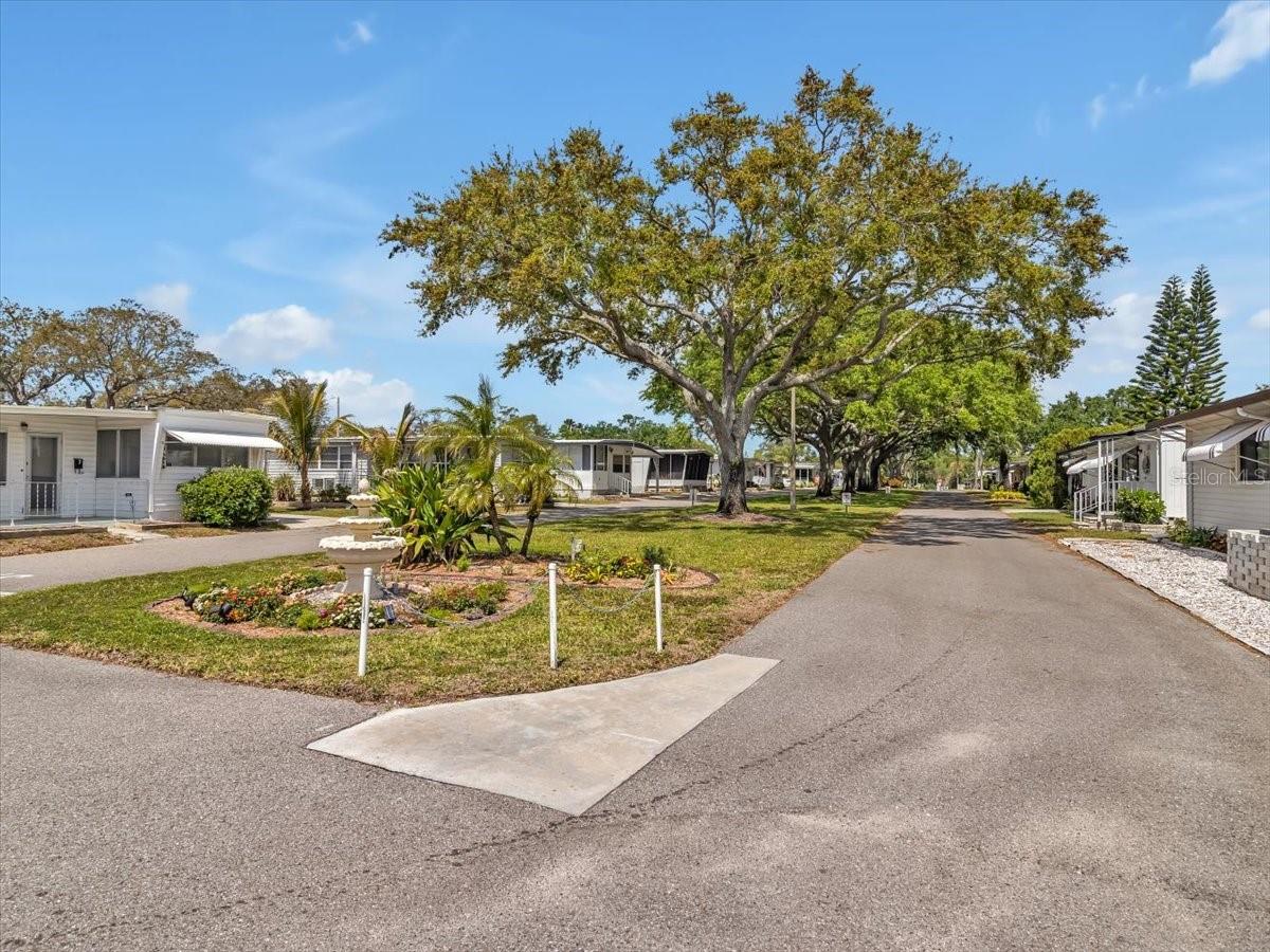 2331 BELLEAIR RD #214, CLEARWATER, FL, 33764