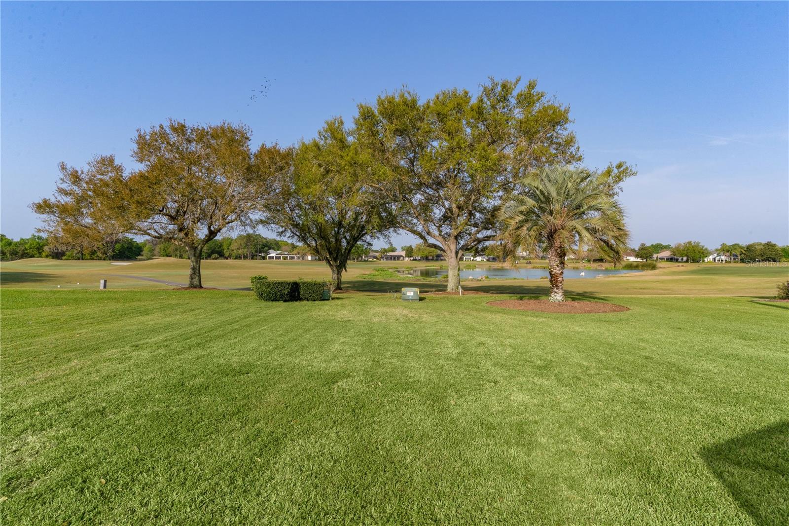 3072 SAINT THOMAS LN, THE VILLAGES, FL, 32162