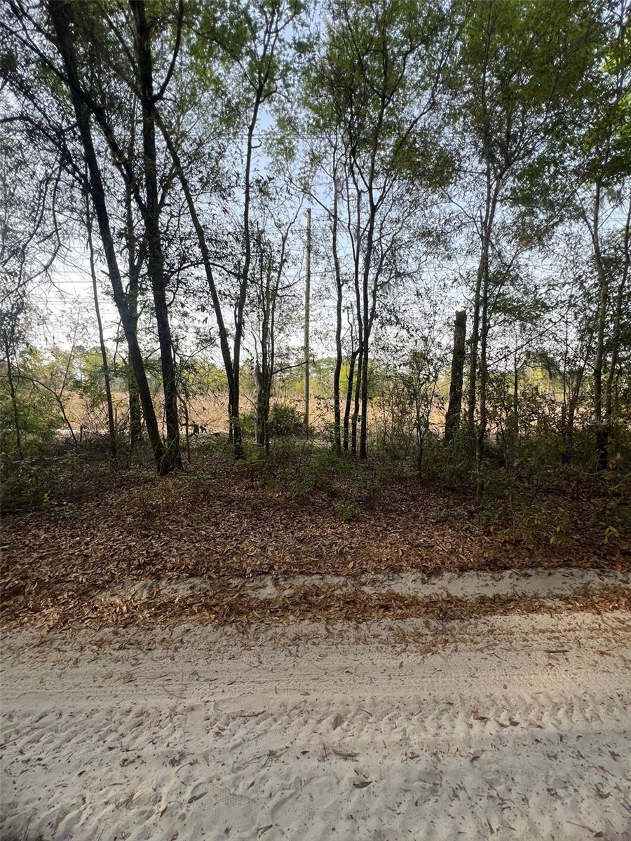 TBD SW 150 ST, DUNNELLON, FL, 34432