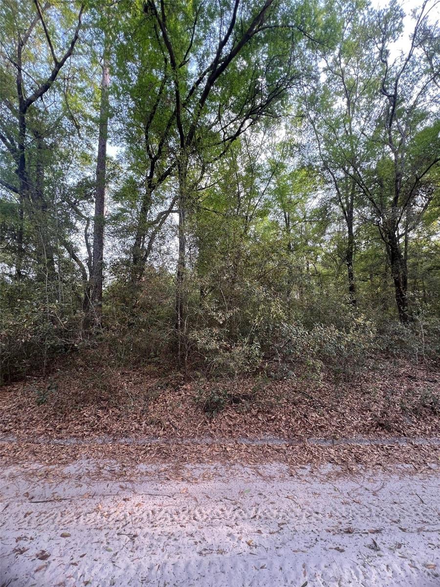 TBD SW 150 ST, DUNNELLON, FL, 34432