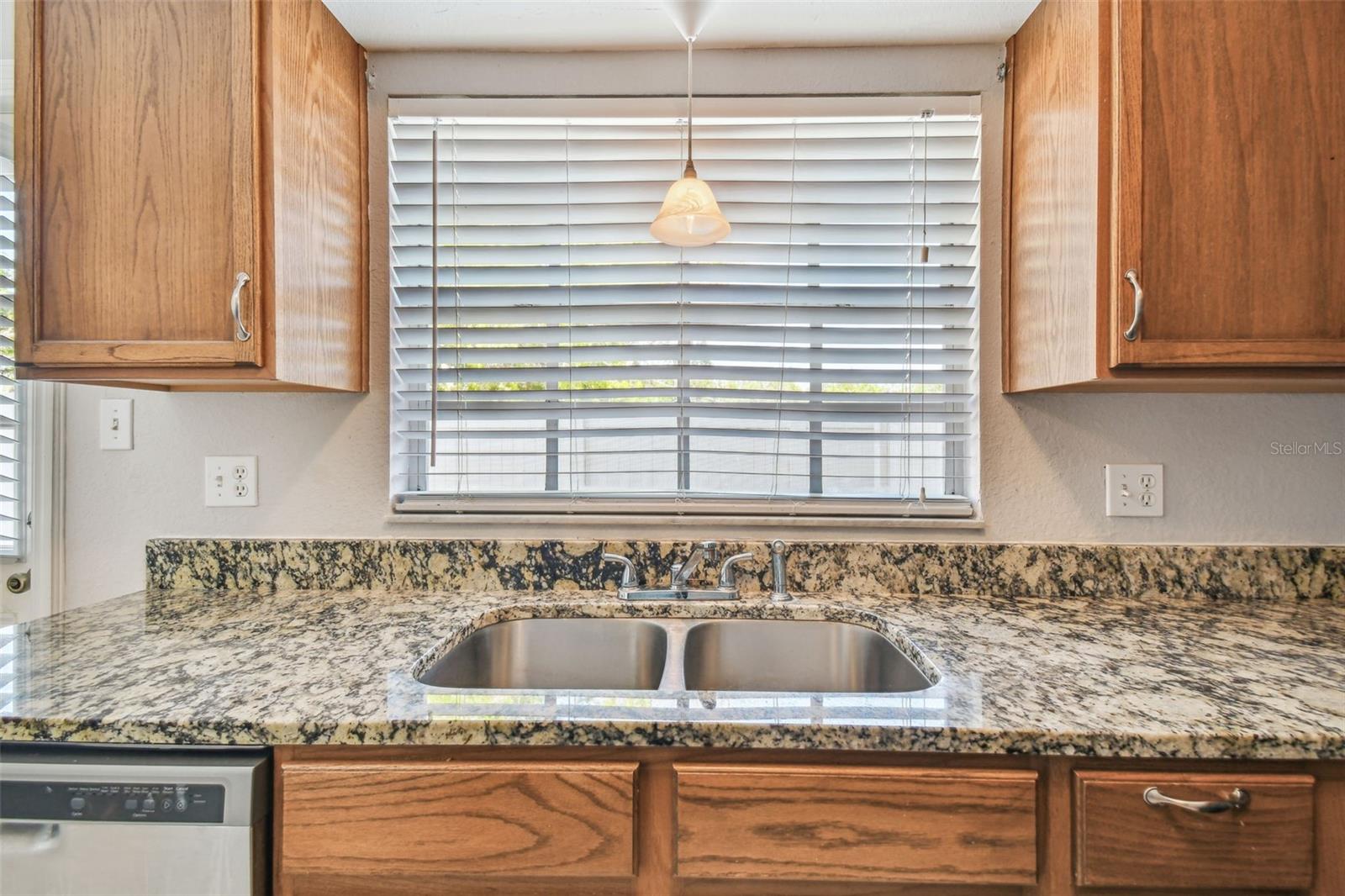 13533 EMBASSY PARK CT, DADE CITY, FL, 33525