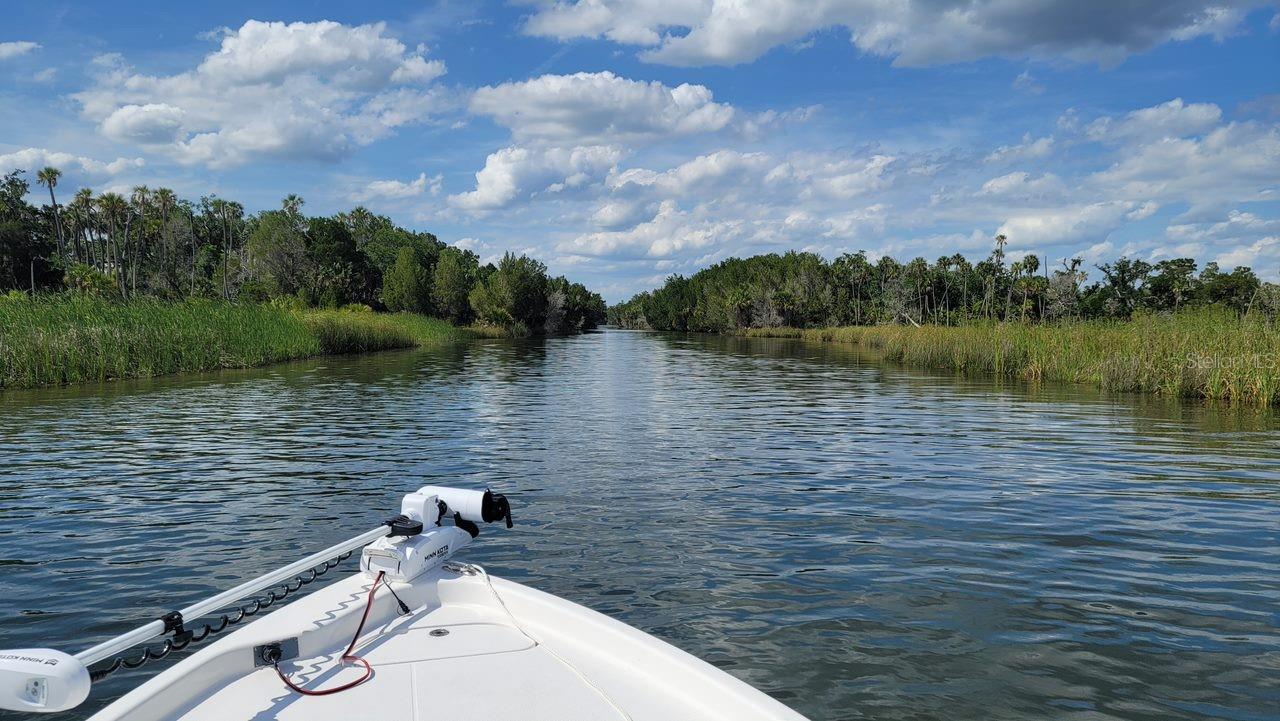 3929 N SAGOMON PT, CRYSTAL RIVER, FL, 34428