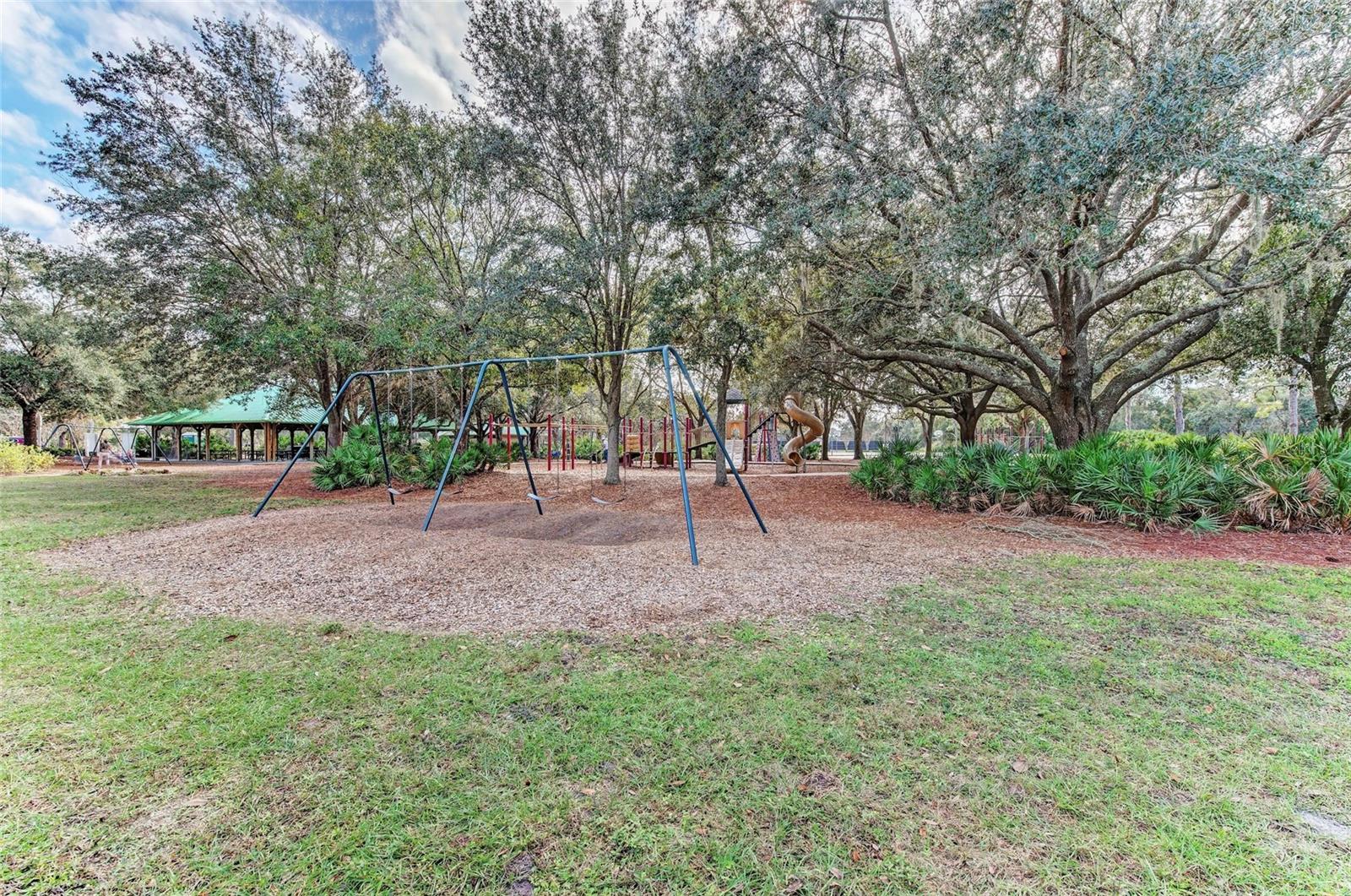 12319 HOLLYBUSH TER, LAKEWOOD RANCH, FL, 34202