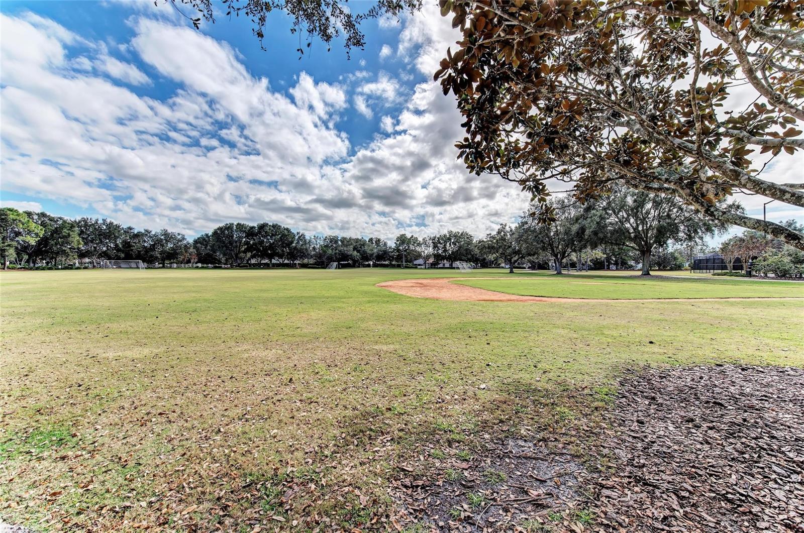 12319 HOLLYBUSH TER, LAKEWOOD RANCH, FL, 34202