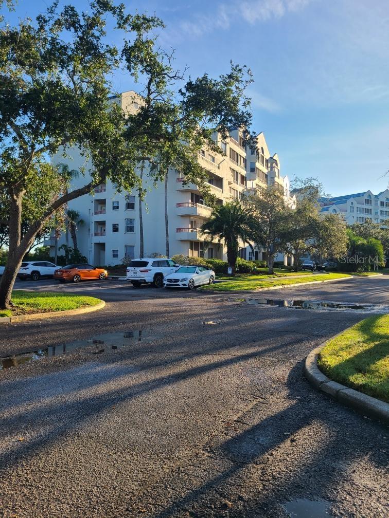 2333 FEATHER SOUND DR #A208, CLEARWATER, FL, 33762