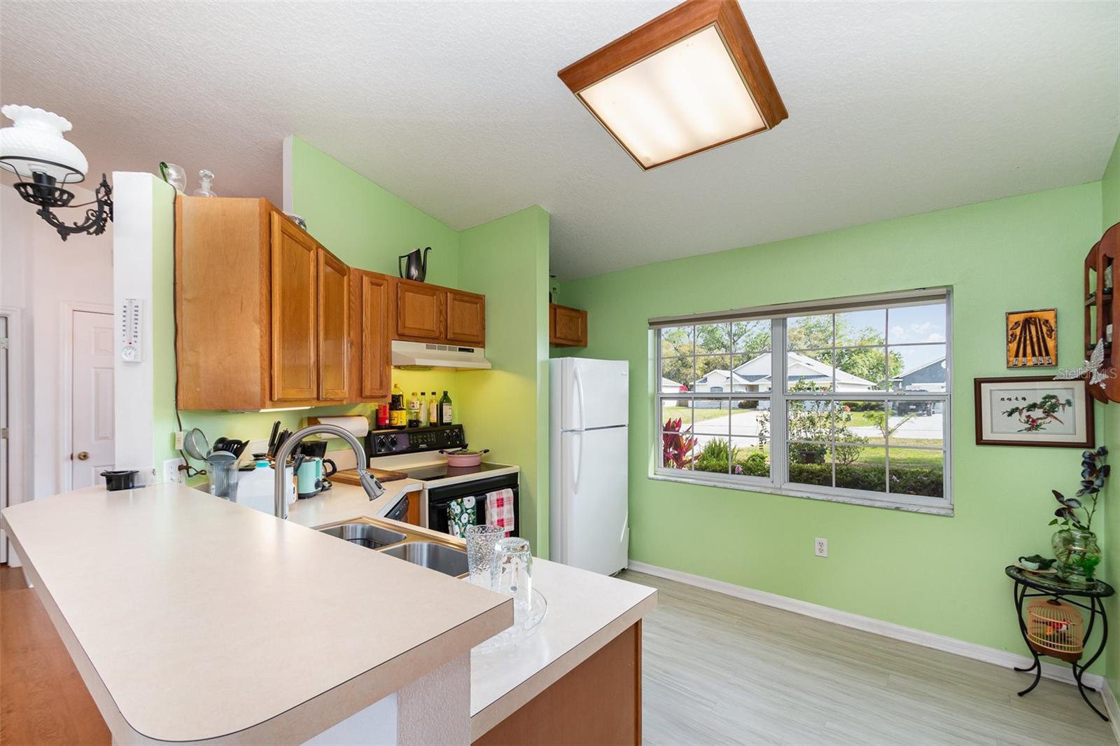 11315 LAKE DR, LEESBURG, FL, 34788