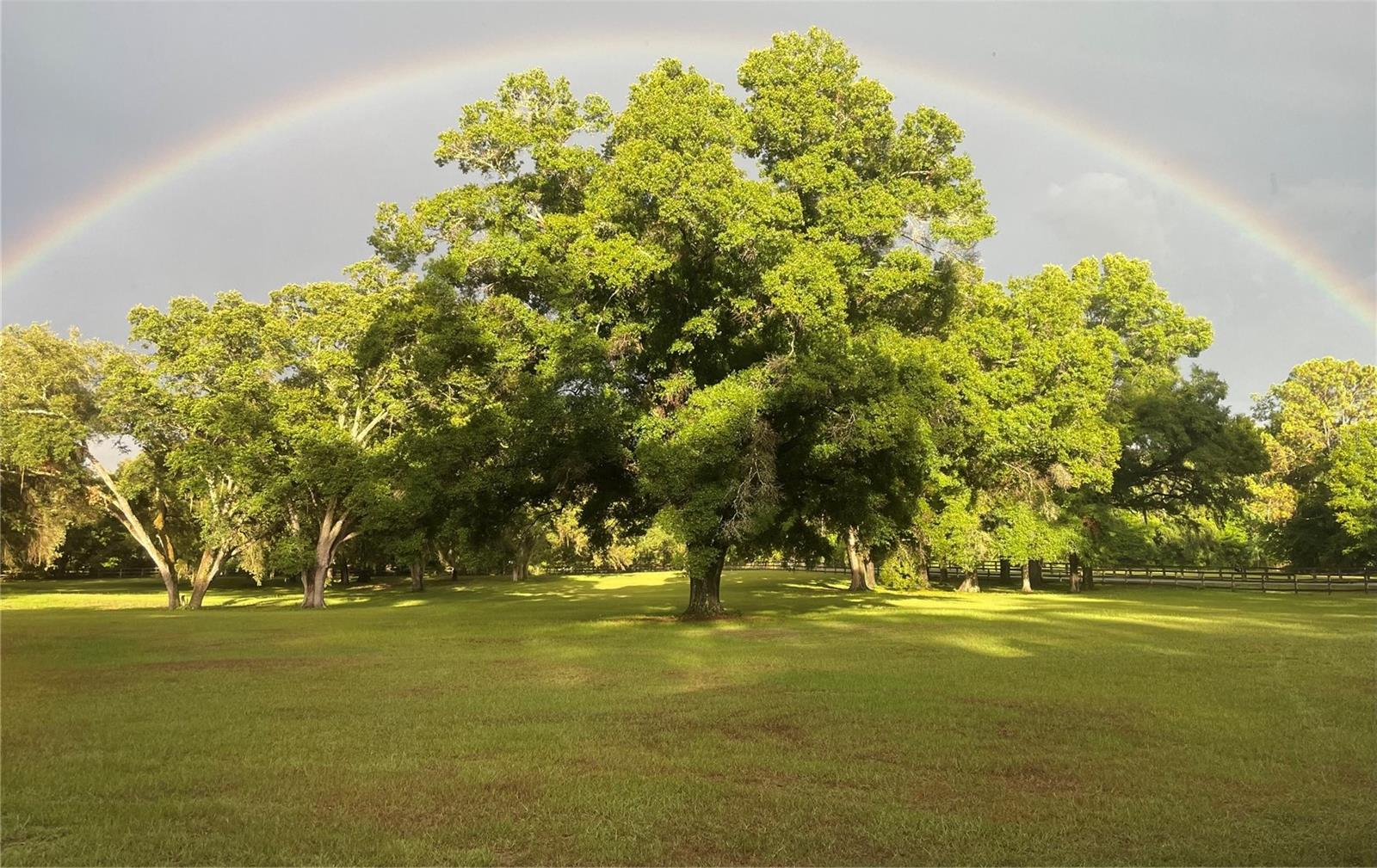 3 CARRY BACK RD, OCALA, FL, 34482