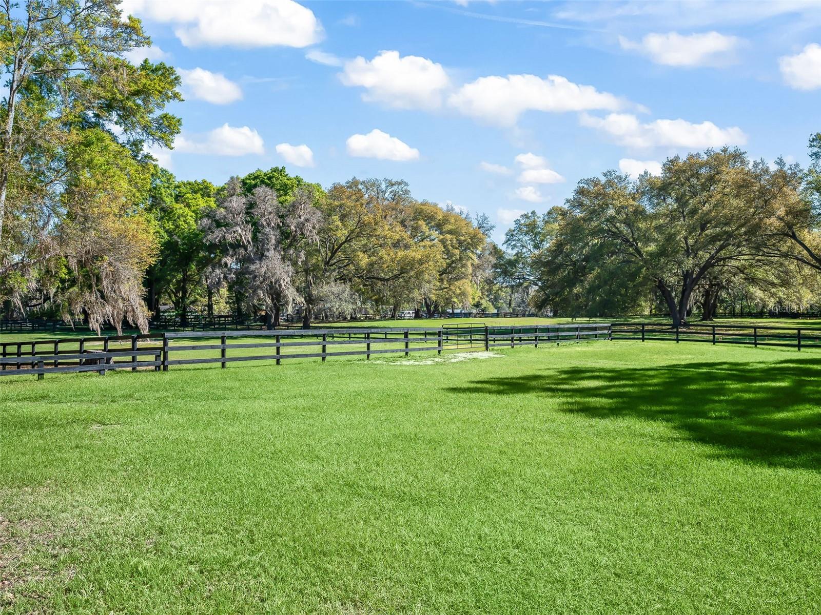 3 CARRY BACK RD, OCALA, FL, 34482