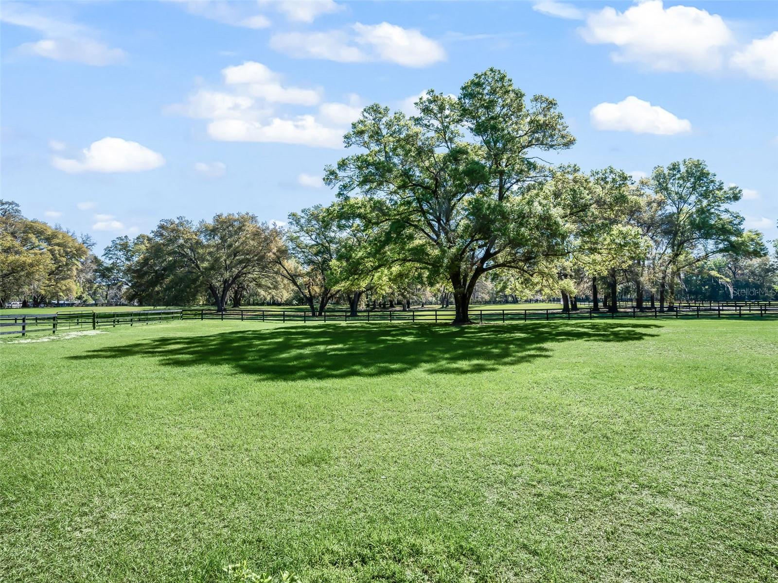 3 CARRY BACK RD, OCALA, FL, 34482