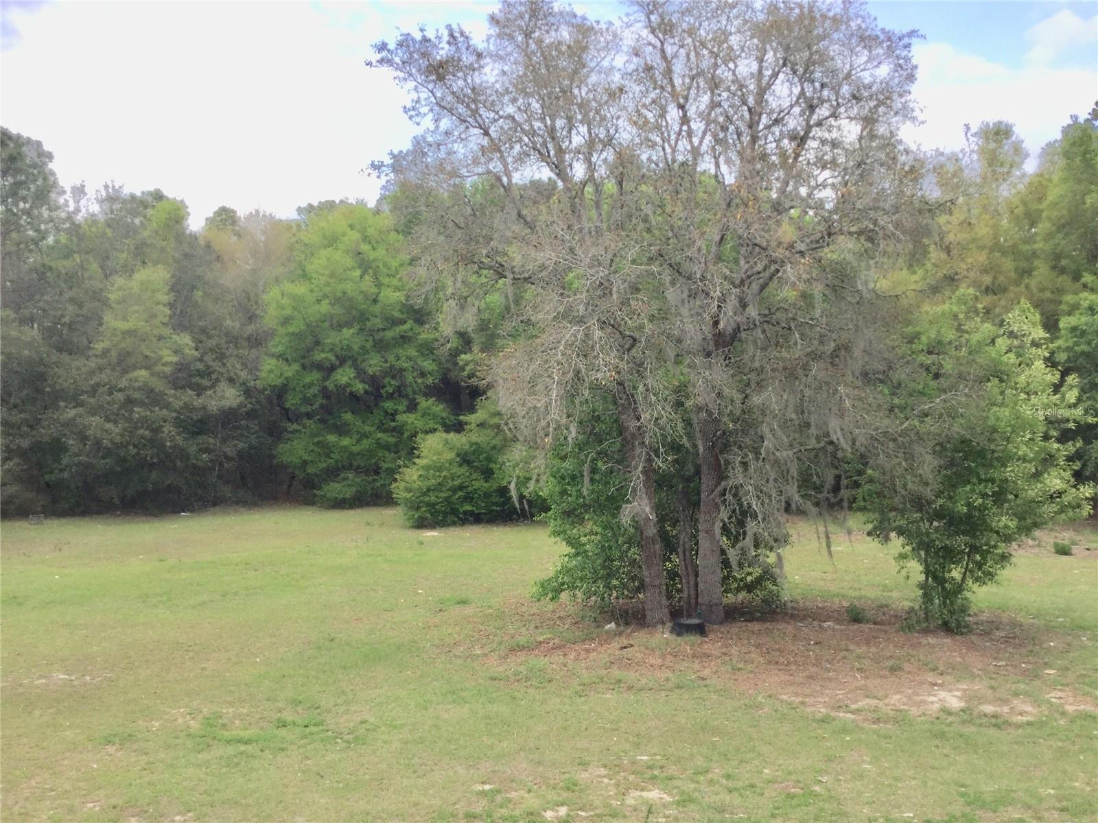 18905 SW 49TH PL, DUNNELLON, FL, 34432