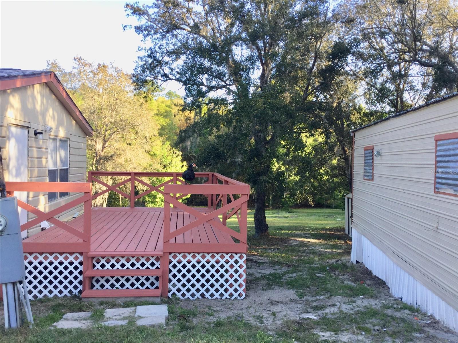 18905 SW 49TH PL, DUNNELLON, FL, 34432