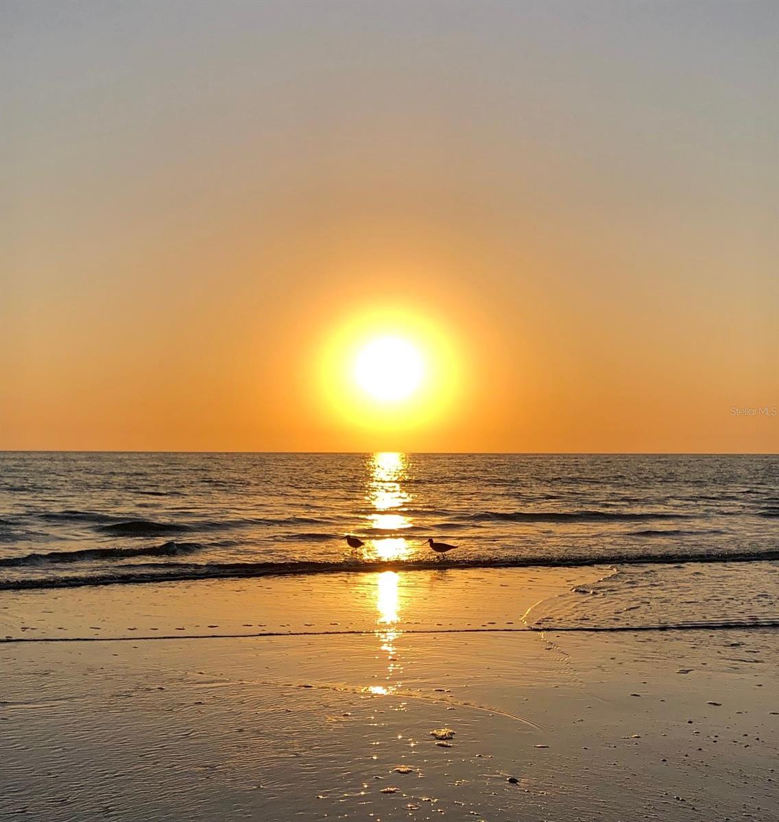 13720 GULF BLVD #303, MADEIRA BEACH, FL, 33708