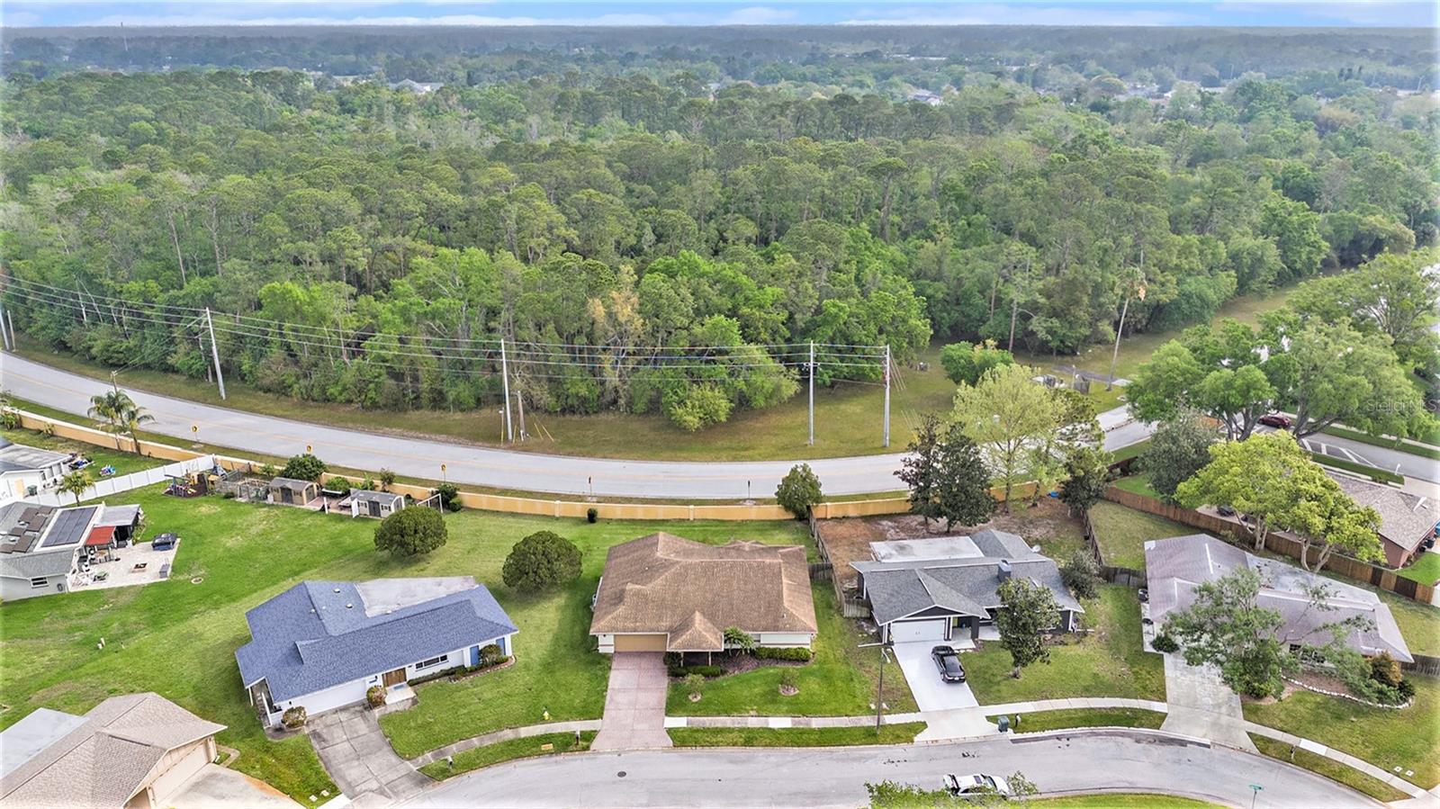 2155 CROWSNEST DR, PALM HARBOR, FL, 34685